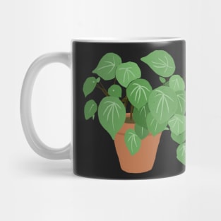 Peperomia Argyreia Watermelon Plant Mug